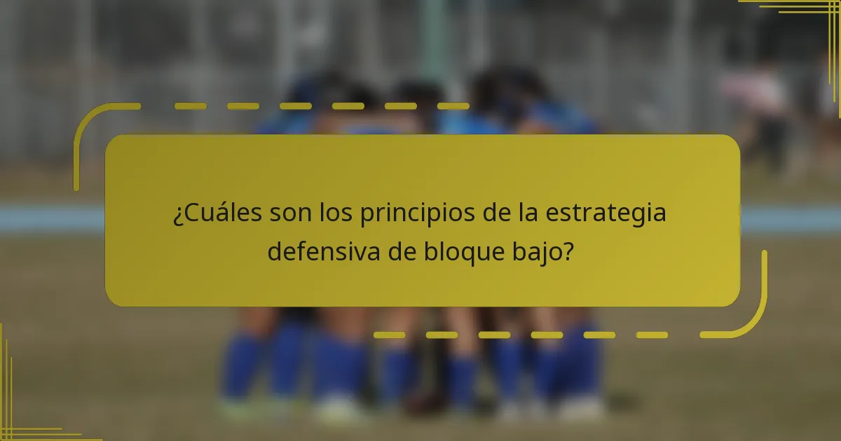 ¿Cuáles son los principios de la estrategia defensiva de bloque bajo?