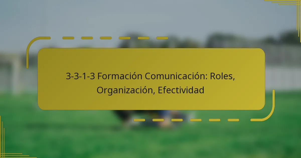 3-3-1-3 Formación Comunicación: Roles, Organización, Efectividad